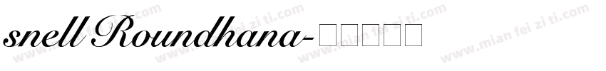 snell Roundhana字体转换